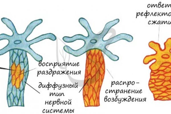 Зайти на кракен